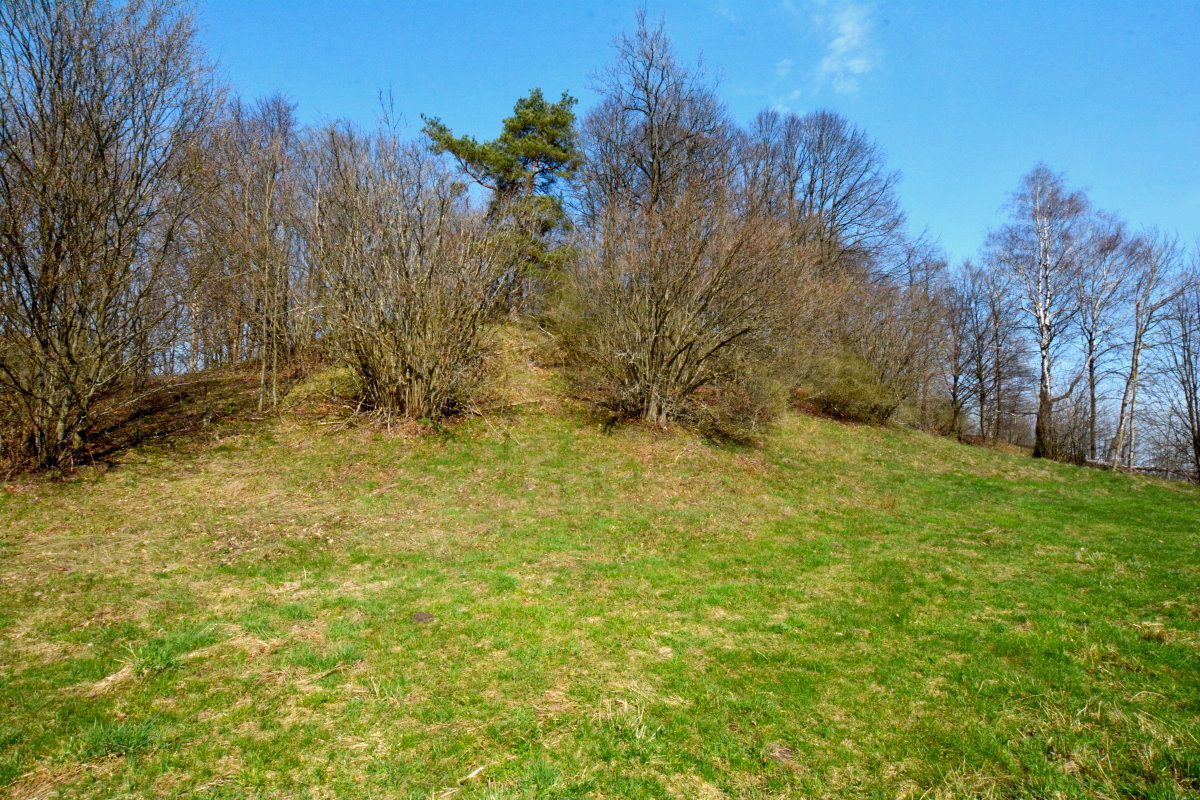 Widok z południa na  zadrzewiony pagórek z grodziskiem. Na pierwszym planie obszar porośnięty trawą.