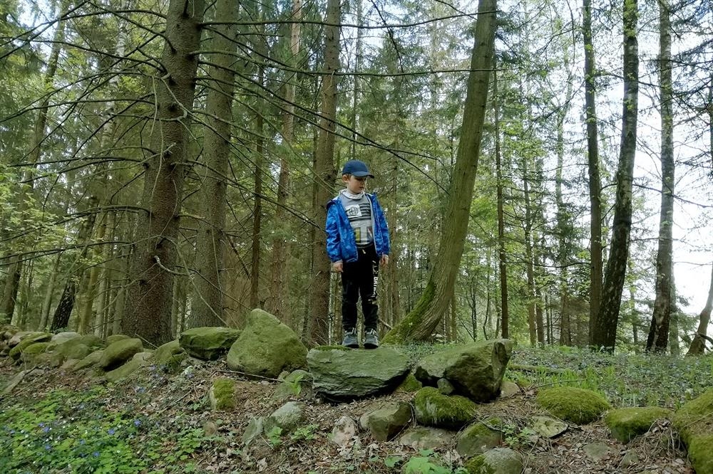 Mały chłopiec stoi na kamieniu. Wokół wysokie drzewa.
