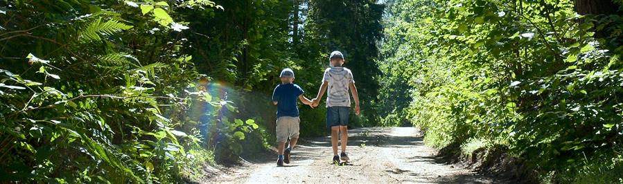 Dwaj chłopcy idą drogą w lesie.