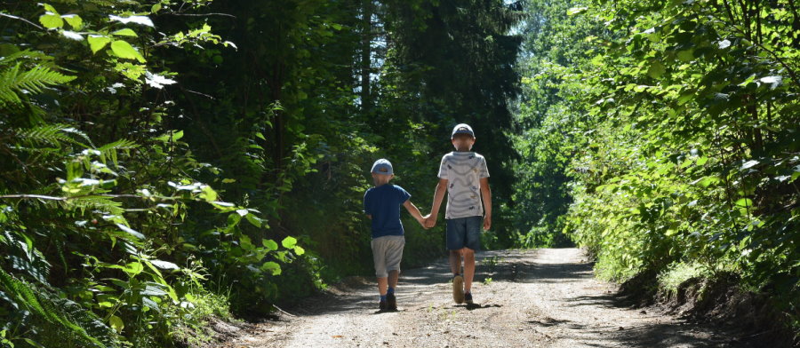 Dwaj chłopcy idą drogą wśród drzew.