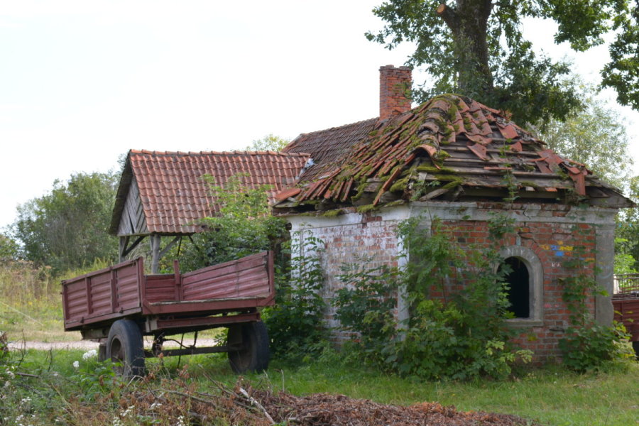 Budynek wśród drzew.