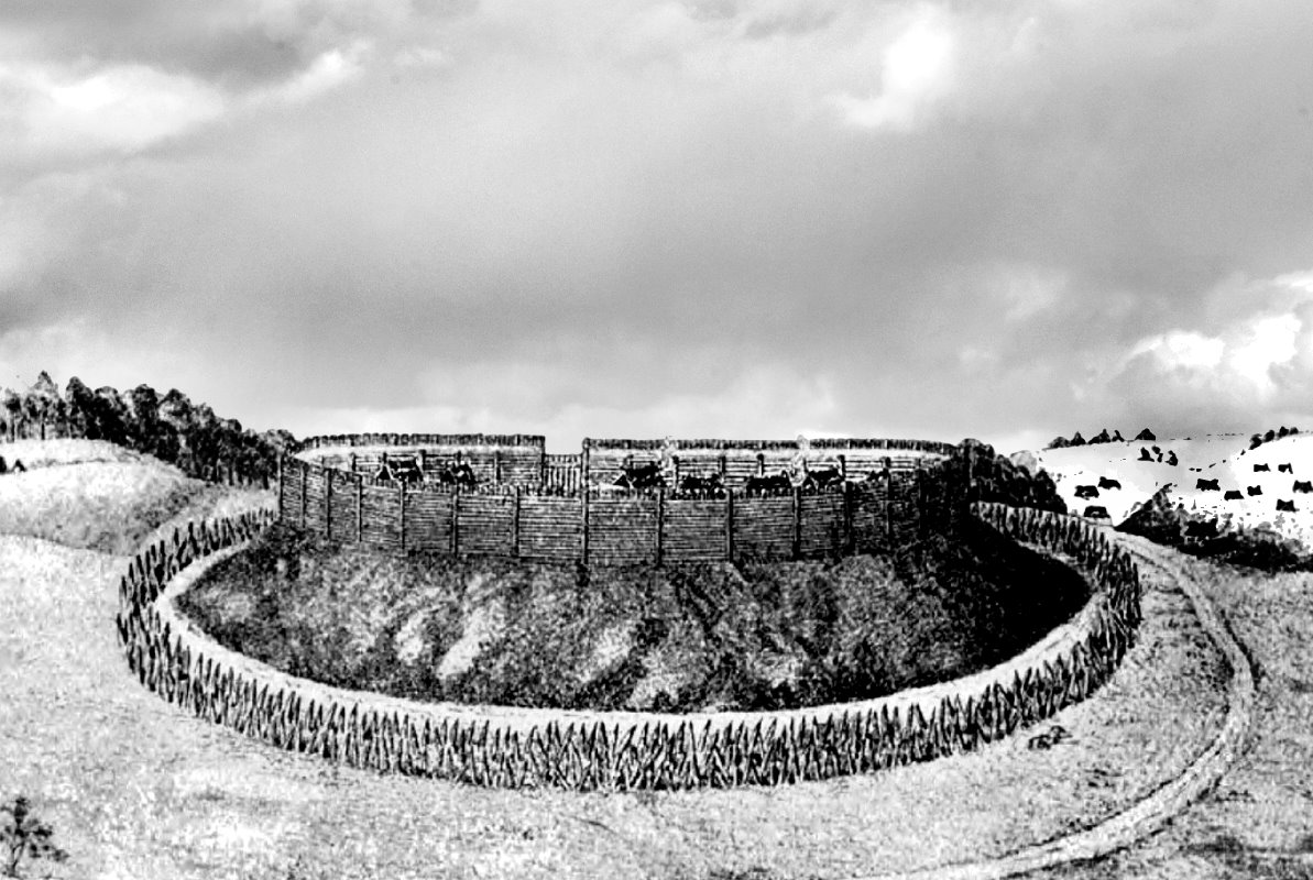 Duży obiekt o kształcie okręgu. W górenj części palisada.