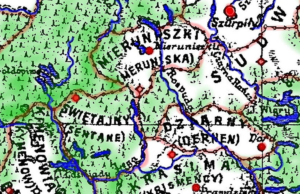 Zasięgi lasów oraz sieć drogowa.