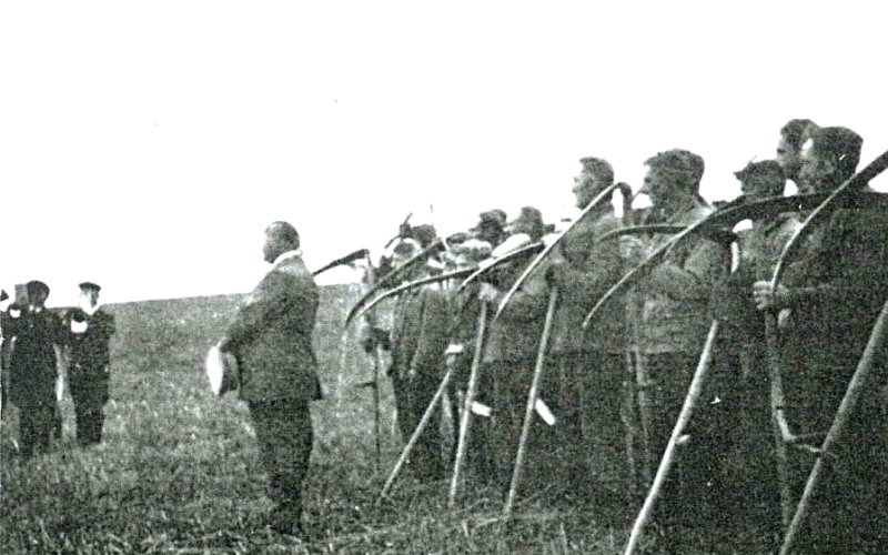 Grupa mężczyzn na polu, pracujących kosami, a jeden z nich patrzy w stronę aparatu.