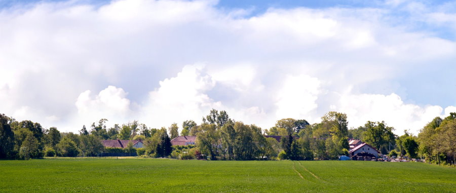 Panorama zielonego pola z drzewami i budynkami w oddali pod niebieskim niebem z chmurami.