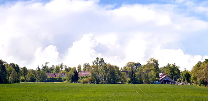 Zielone pole z trawą, w tle linia drzew i domów. Nad nimi jasne niebo z białymi chmurami. Spokojny, wiejski krajobraz ukazany w słoneczny dzień.