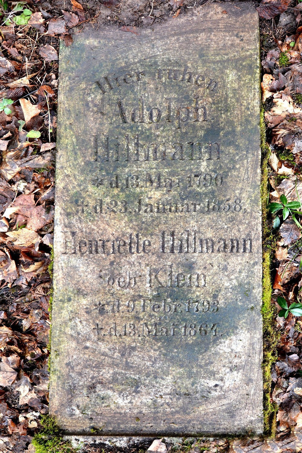 Stara, omszała płyta nagrobna z niemieckim napisem. Upamiętnia Adolpha Hillmanna (1790–1868) i Henriette Hillmann z domu Klein (1793–1864). Nagrobek leży wśród liści i mchu, w naturalnym otoczeniu.