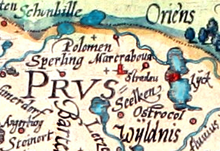 Fragment dawnej mapy z XVI wieku z nazwami miejscowości i rzek, wykonany w stylu kartograficznym z ozdobnymi napisami.