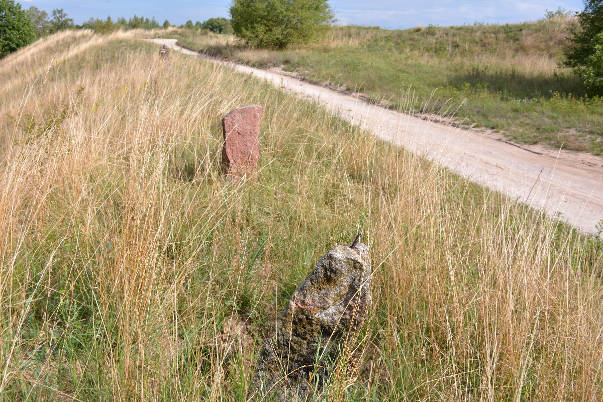Wąska piaszczysta droga biegnąca przez łąki i wysokie trawy, w spokojnym wiejskim krajobrazie.