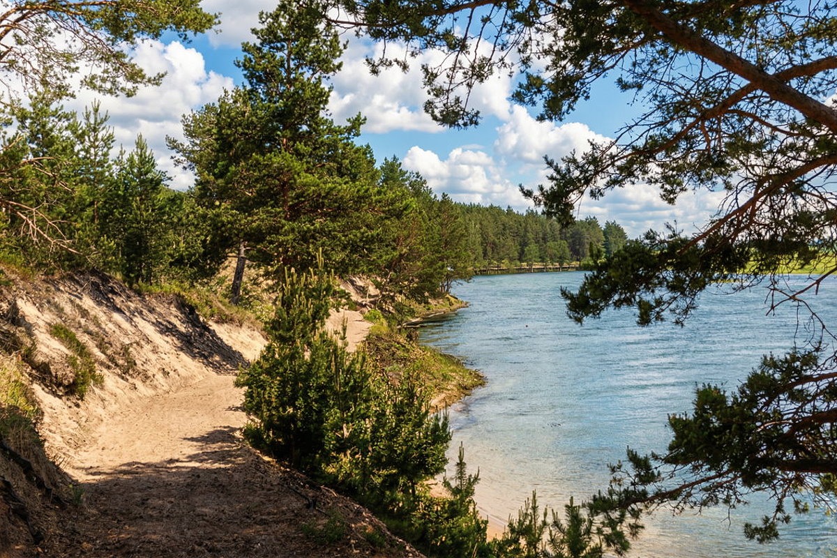 Piaszczysty brzeg jeziora otoczony drzewami, z łagodnym zejściem do wody i spokojną taflą jeziora.