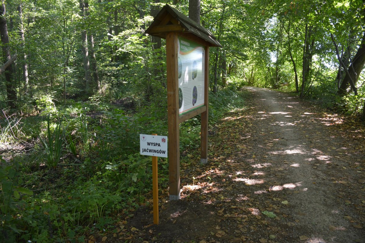 Leśna ścieżka z tablicą informacyjną, prowadząca przez zacieniony teren wśród drzew.