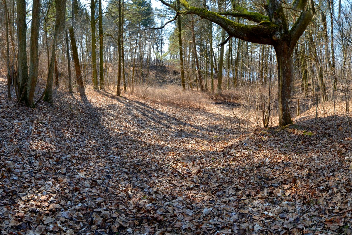 Schematyczna mapa z zaznaczonym układem dr&oacute;g i nazwami pag&oacute;rk&oacute;w lub obszar&oacute;w terenowych.