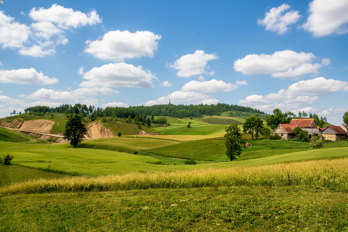Mazurski krajobraz wiejski &ndash; zielone pola, pag&oacute;rki i rozproszona zabudowa wsi w słoneczny dzień pod błękitnym niebem.