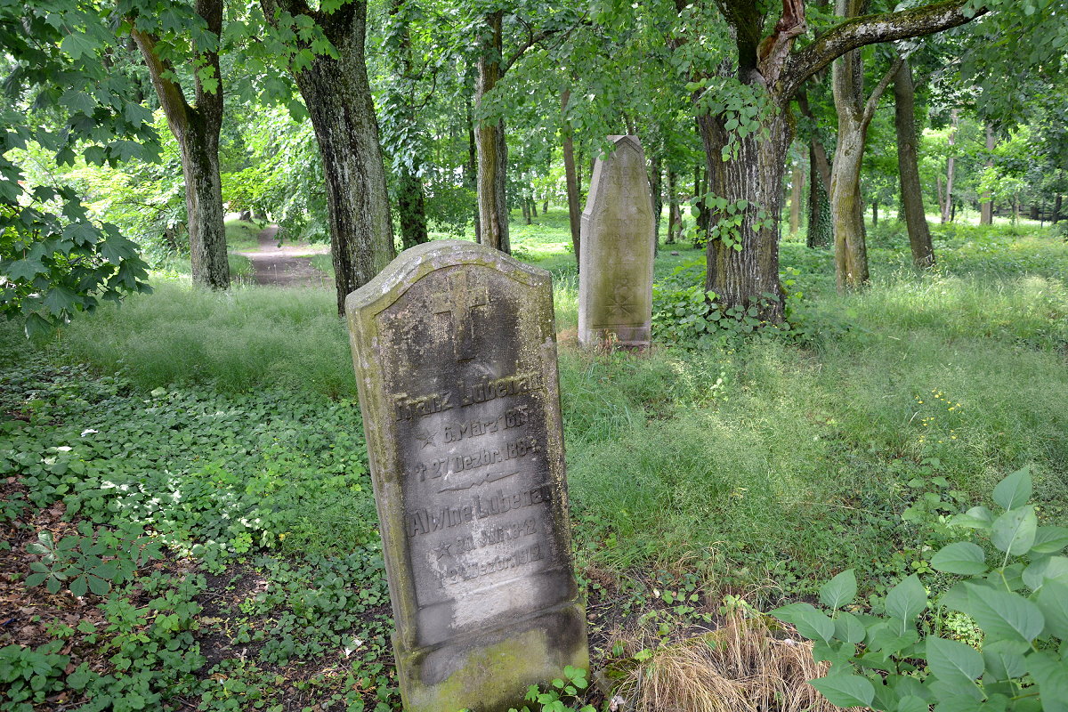Dwie stele kamienne wśród drzew.