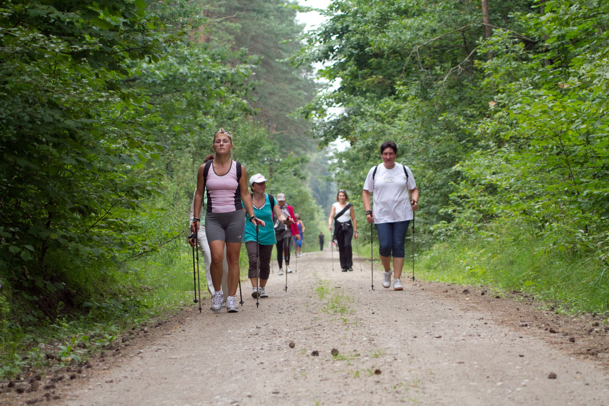 Grupa turystów spaceruje leśną drogą.